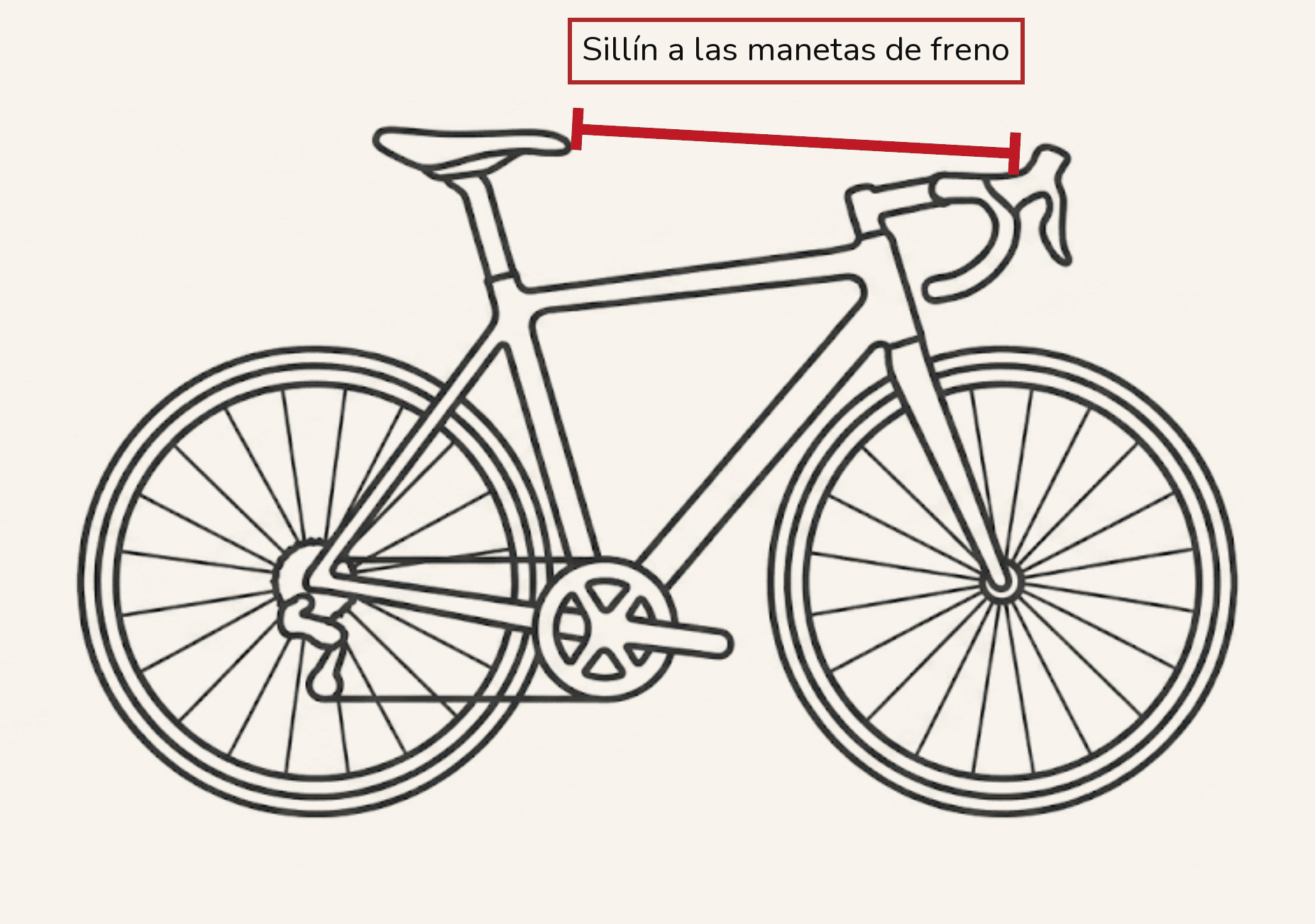 Sillín a las manetas de freno: la línea recta desde la punta del sillín hasta las manetas.