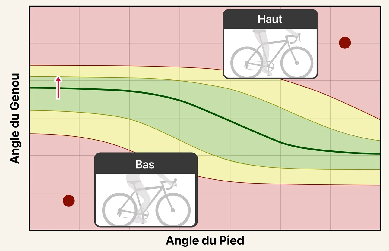 Le graphique de hauteur de selle de BFF EZ. Une bande verte traverse le milieu, la plage cible, bordée de jaune, avec des zones rouges au-dessus et en dessous. Une petite flèche part du repère de gauche vers le haut de la bande verte.