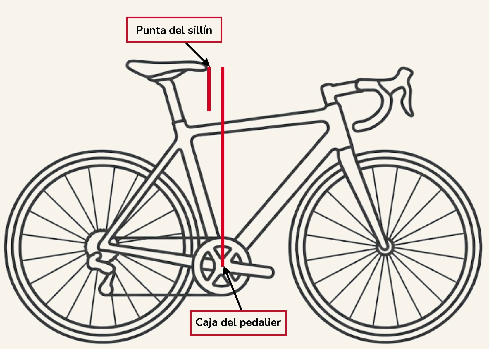 Un dibujo lineal de perfil de una bici de carretera con una línea roja que va desde la parte delantera del sillín hasta el eje pedalier, mostrando la medida de adelante/atrás, con la etiqueta «Punta del sillín» arriba y «Caja del pedalier» abajo.
