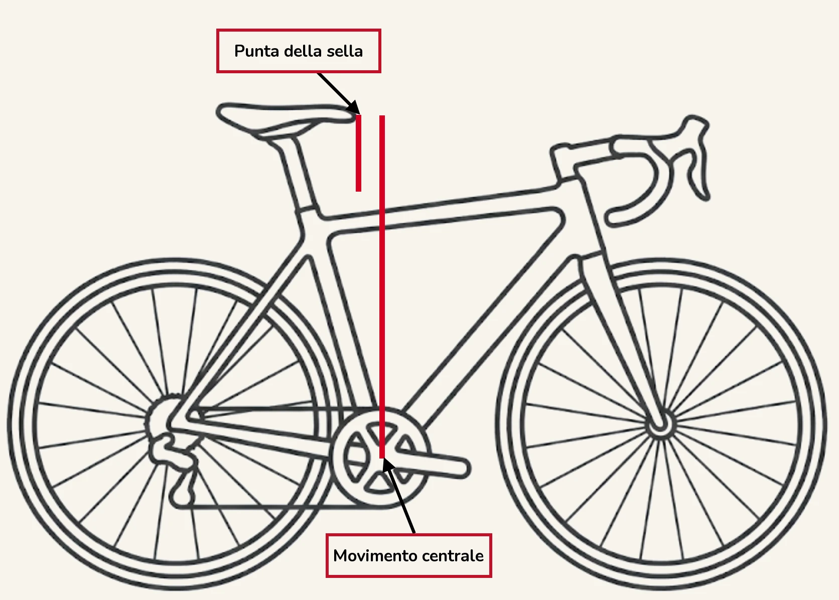 Un disegno al tratto di profilo di una bici da strada, con una linea rossa che va dalla parte anteriore della sella fino al movimento centrale, a mostrare la misura di avanti/indietro, con l'etichetta «Punta della sella» in alto e «Movimento centrale» in basso.