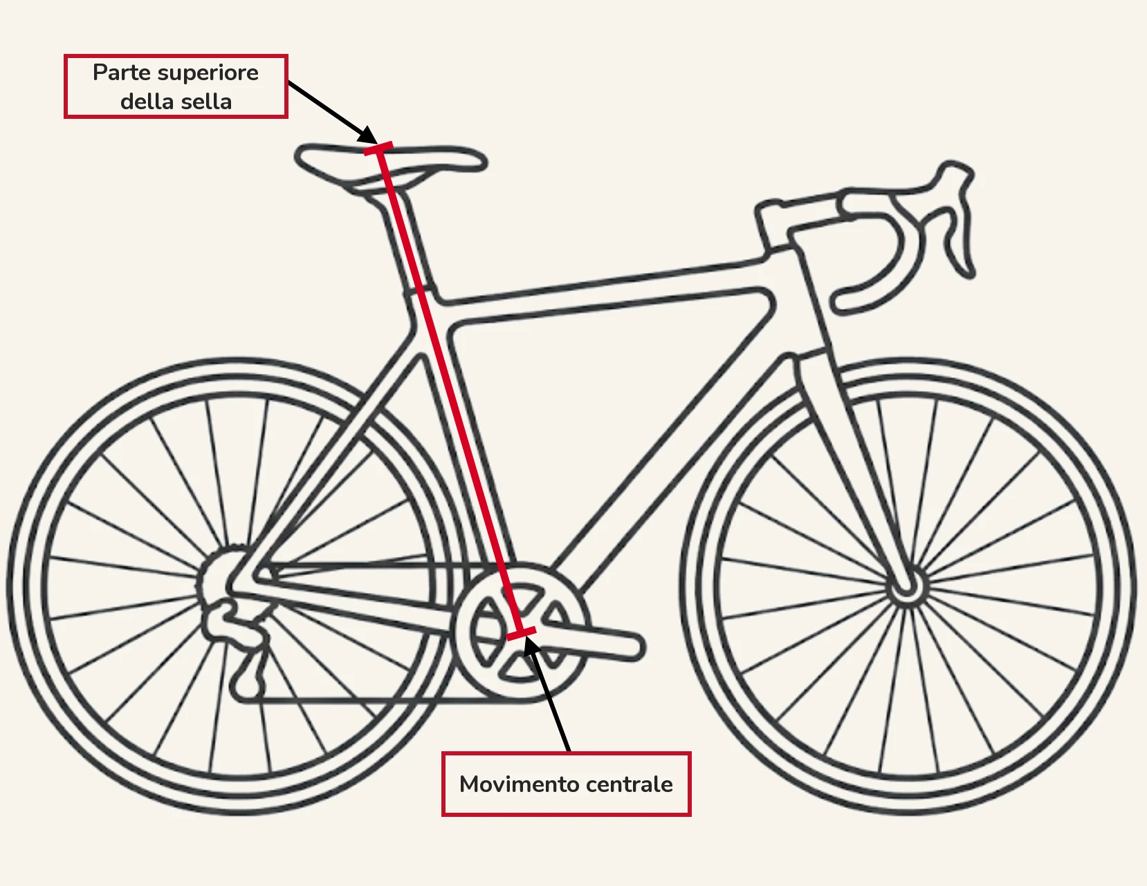 Un disegno al tratto di profilo di una bici da strada, con una linea rossa che parte dal centro del movimento centrale e sale lungo il tubo sella fino alla sommità della sella, a mostrare come si misura l'altezza sella, con l'etichetta «Parte superiore della sella» in alto e «movimento centrale» in basso.