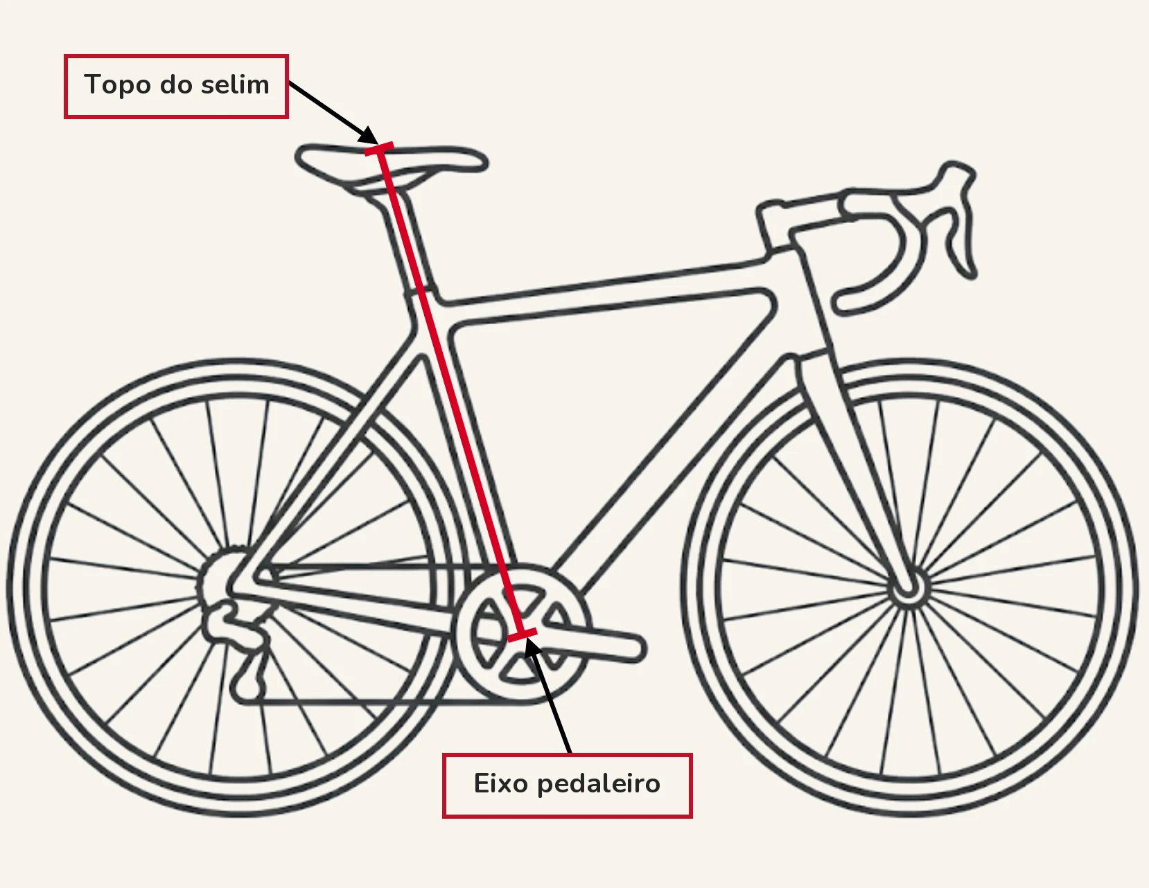 Um desenho de linhas, de perfil, de uma bicicleta de estrada, com uma linha vermelha que sobe do centro do eixo pedaleiro pelo tubo do selim até ao topo do selim, a mostrar como se mede a altura do selim, com a etiqueta «topo do selim» no ponto de cima e «eixo pedaleiro» no de baixo.
